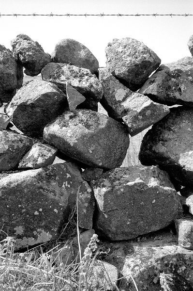 Stones N Ireland 1995
